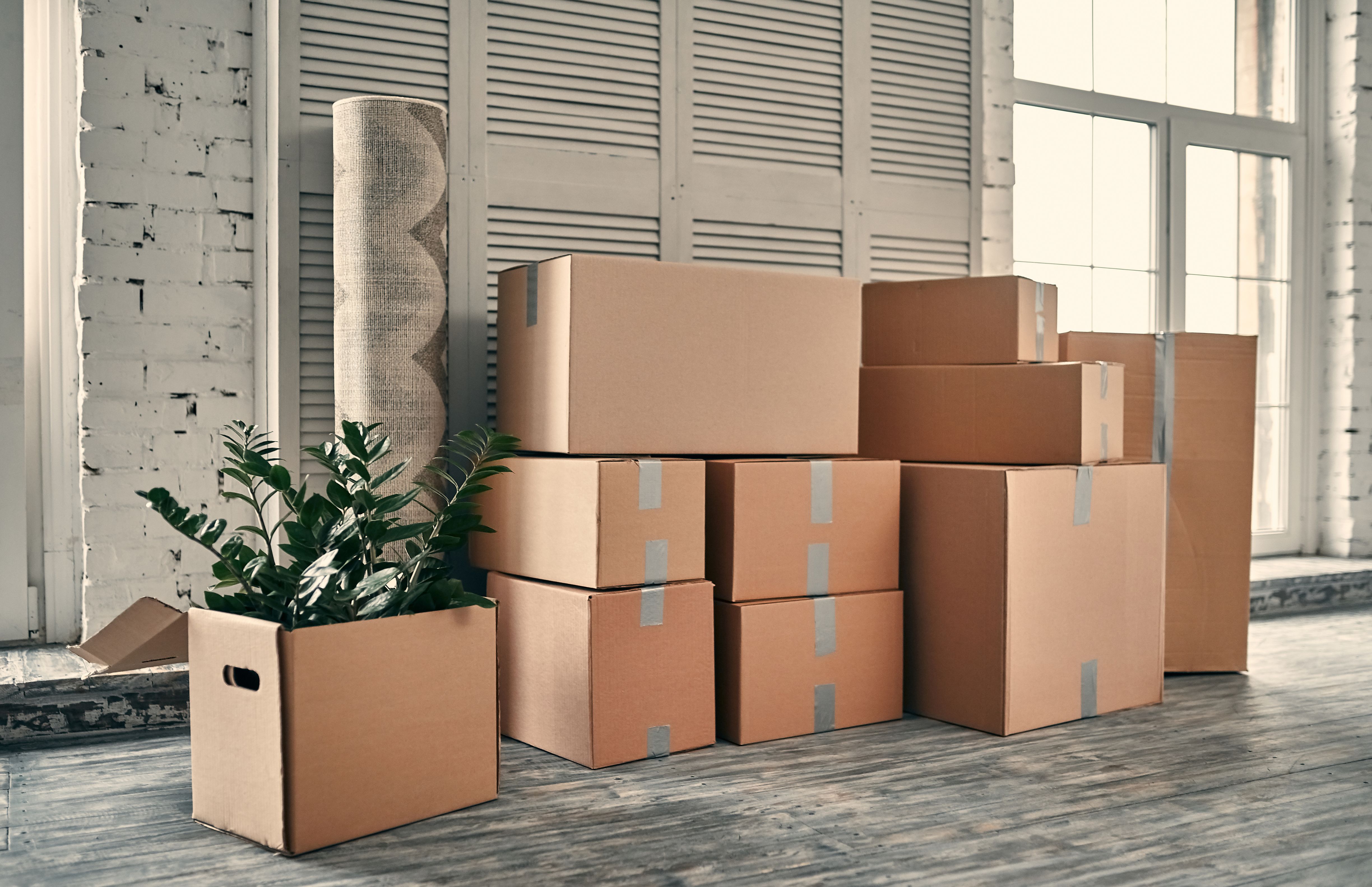 Residential and parcel shipping
